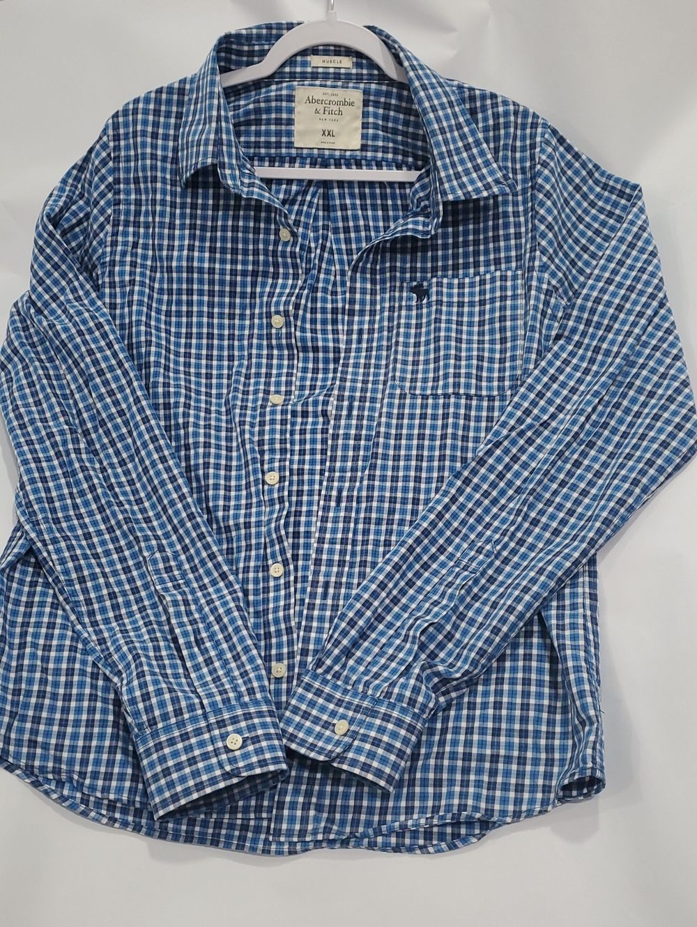 Abercrombie & Fitch Blue and White Plaid Button-Down Shirt